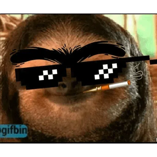 Meme - Sticker 13