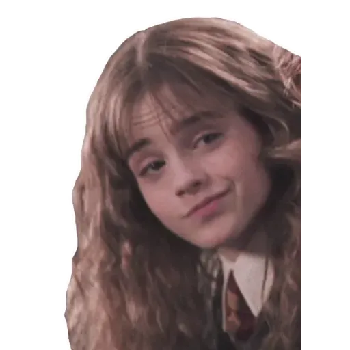 HarryPotter1 - Sticker 9