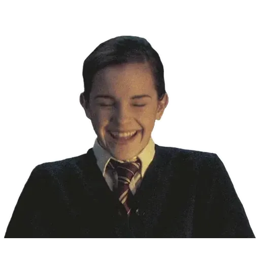 HarryPotter1 - Sticker 23