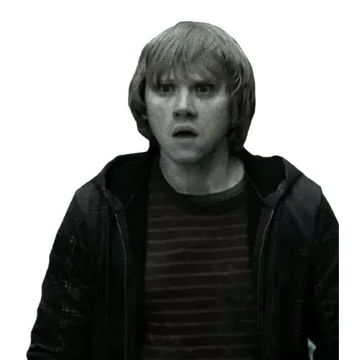 HarryPotter1 - Sticker 20