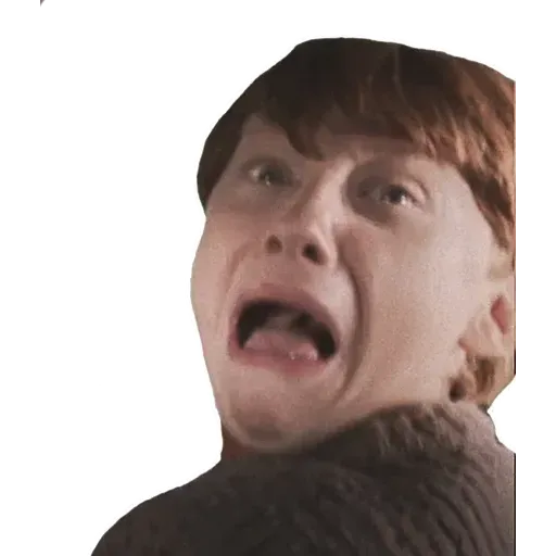 HarryPotter1 - Sticker 18