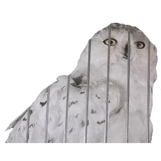 HarryPotter1 - Sticker 25