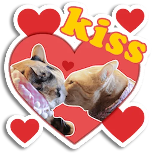 Fghf - Sticker 12