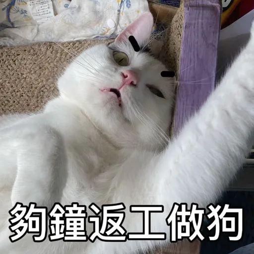 樂狗有話兒 - Sticker 11