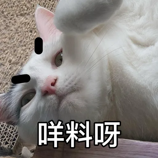 樂狗有話兒 - Sticker 16
