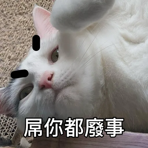 樂狗有話兒 - Sticker 10
