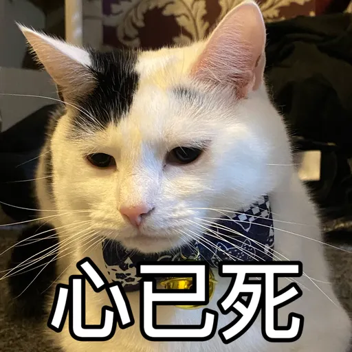 樂狗有話兒 - Sticker 24