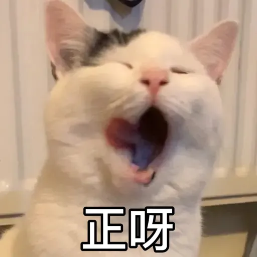 樂狗有話兒 - Sticker 18