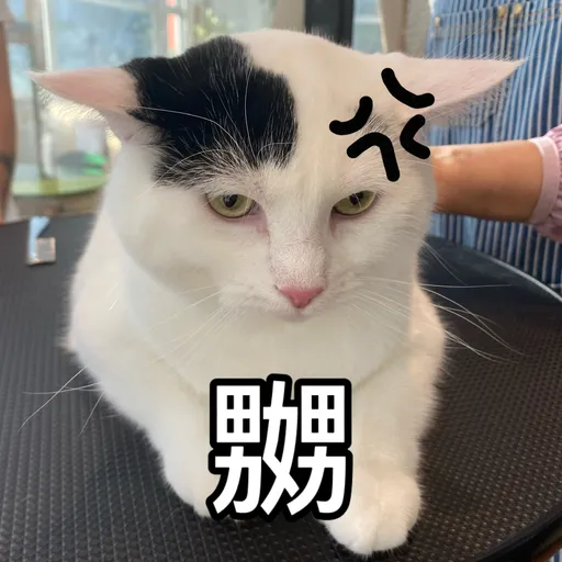 樂狗有話兒 - Sticker 20