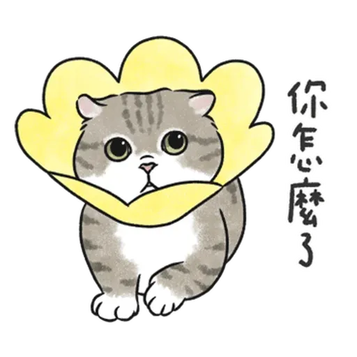 貓貓 - Sticker 16