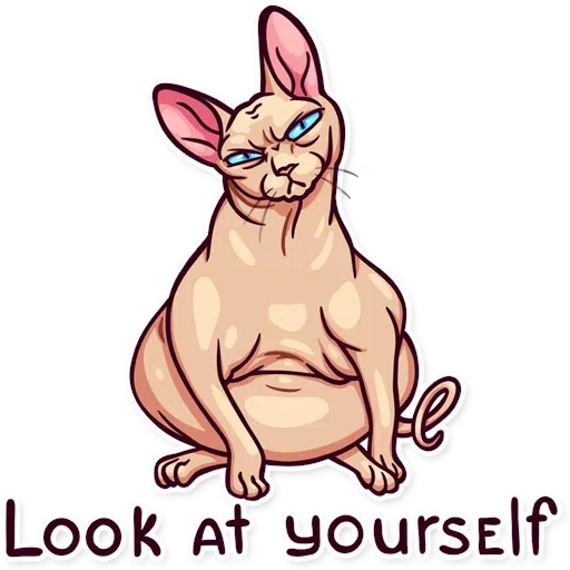Meme Cats - Sticker 20