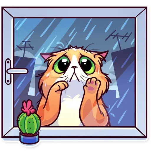 Meme Cats - Sticker 29