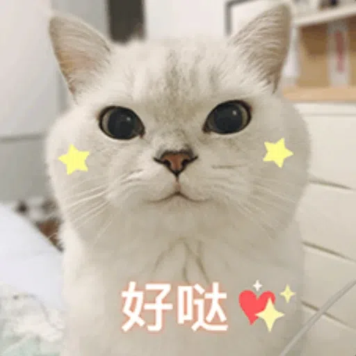 Funny - Sticker 23