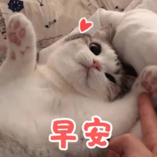 Funny - Sticker 21