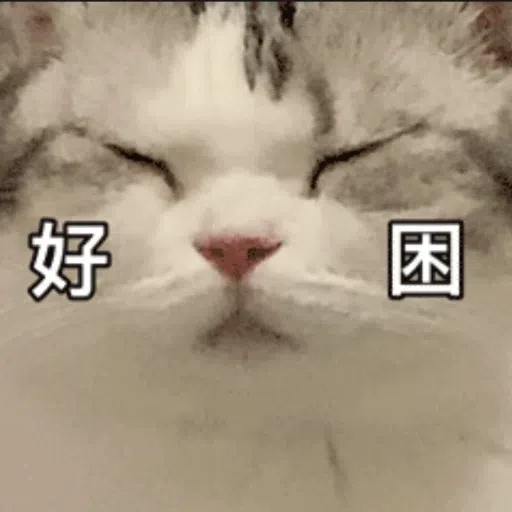 Funny - Sticker 22