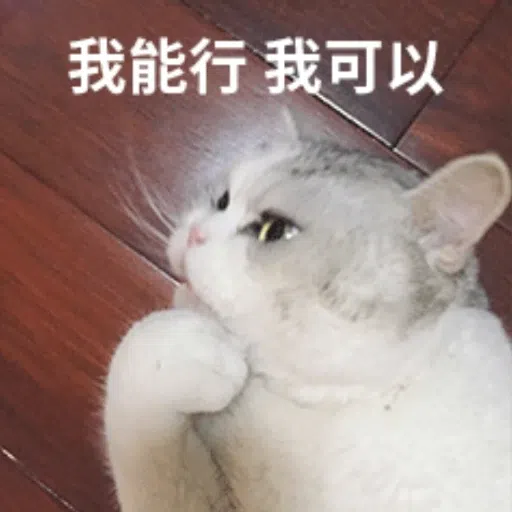 Funny - Sticker 20