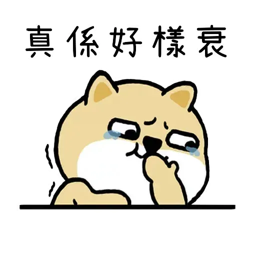 little shiba 1 - Sticker 16