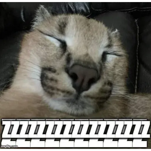 Random - Sticker 19