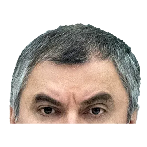Патриот1 - Sticker 23
