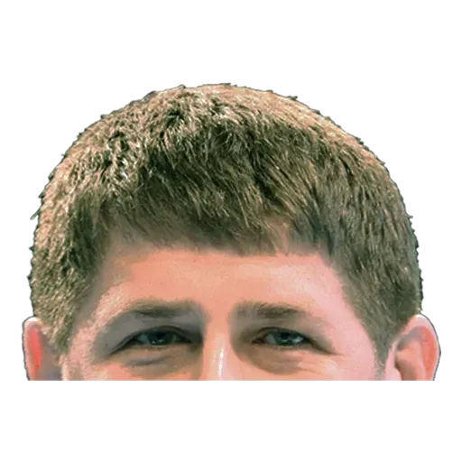 Патриот1 - Sticker 25