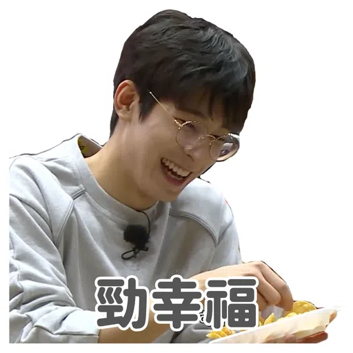 SVT INSIDE OUT - Sticker 19