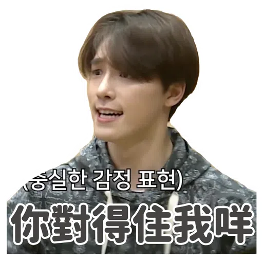 SVT INSIDE OUT - Sticker 20