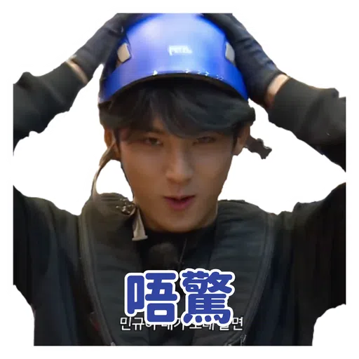 SVT INSIDE OUT - Sticker 28