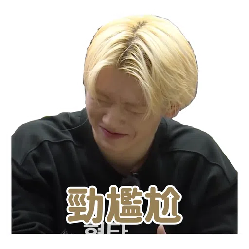 SVT INSIDE OUT - Sticker 15