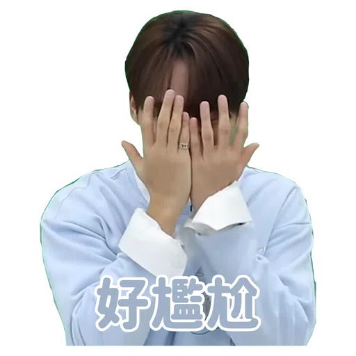 SVT INSIDE OUT - Sticker 14