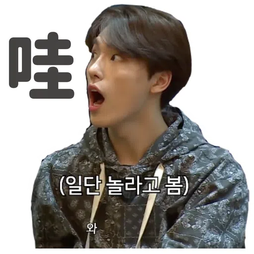 SVT INSIDE OUT - Sticker 25