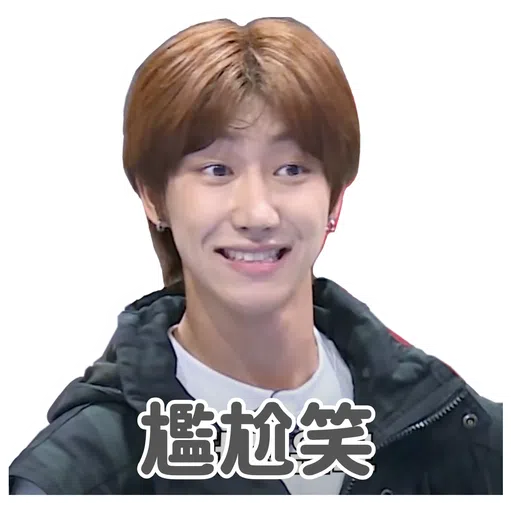 SVT INSIDE OUT - Sticker 16