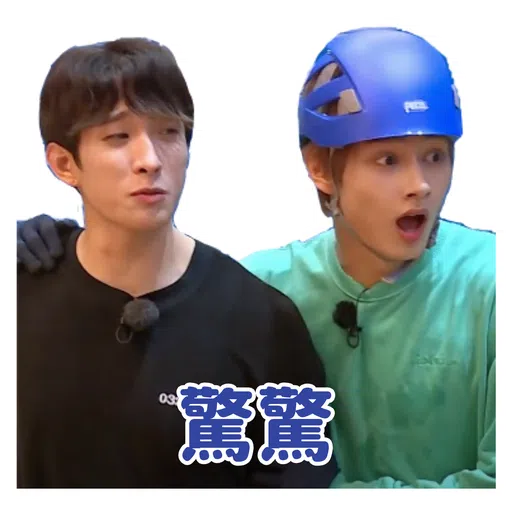 SVT INSIDE OUT - Sticker 23