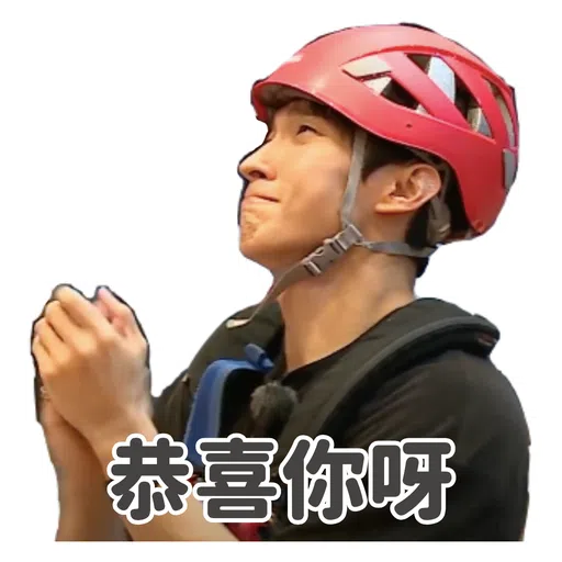 SVT INSIDE OUT - Sticker 27