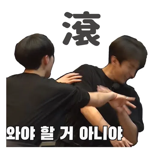 SVT INSIDE OUT - Sticker 21