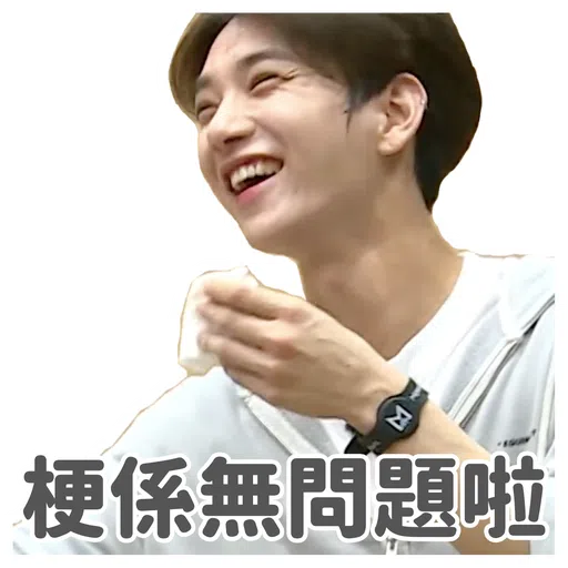 SVT INSIDE OUT - Sticker 18