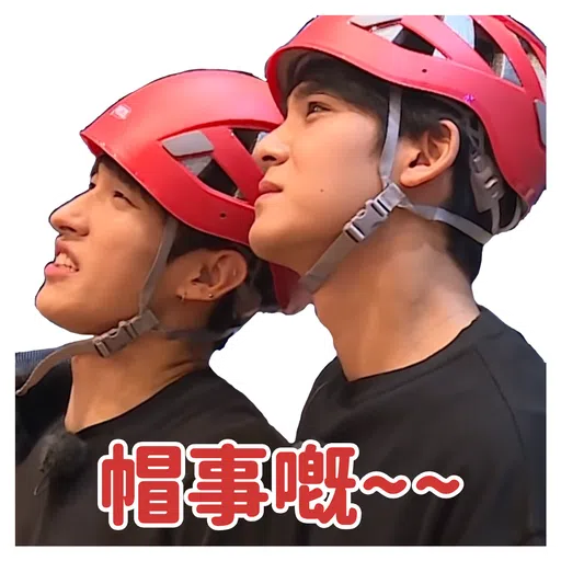 SVT INSIDE OUT - Sticker 30