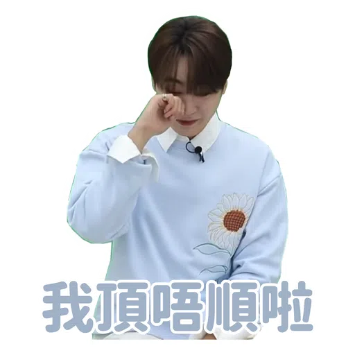 SVT INSIDE OUT - Sticker 11