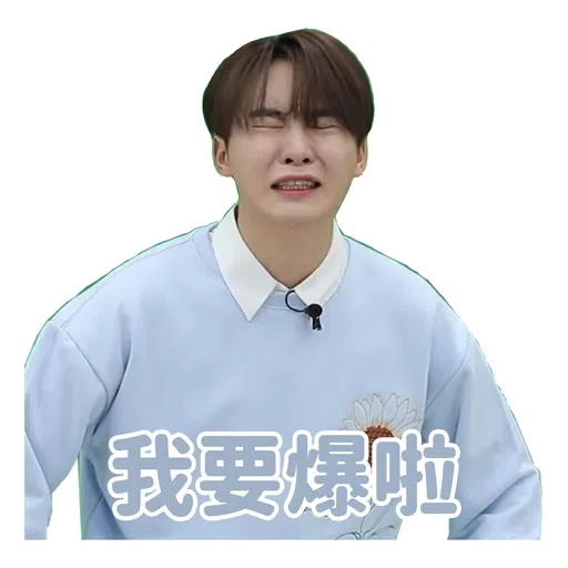 SVT INSIDE OUT - Sticker 9