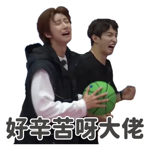 SVT INSIDE OUT - Sticker 13