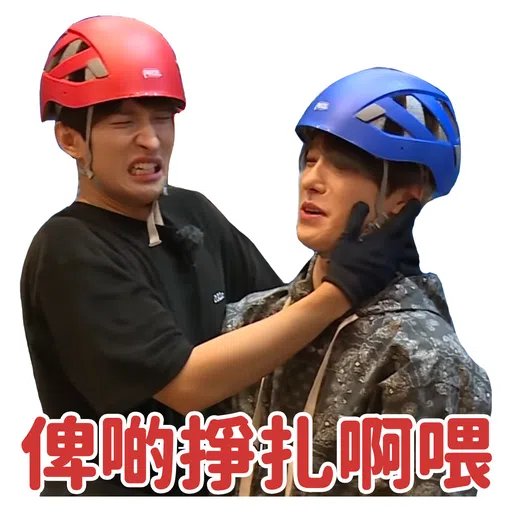 SVT INSIDE OUT - Sticker 24