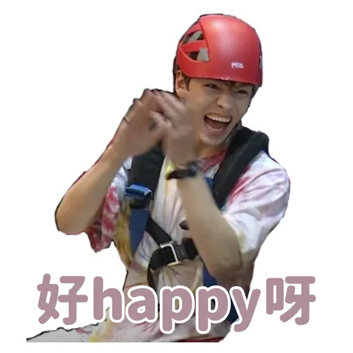 SVT INSIDE OUT - Sticker 29