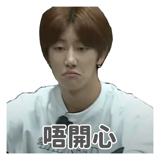 SVT INSIDE OUT - Sticker 10
