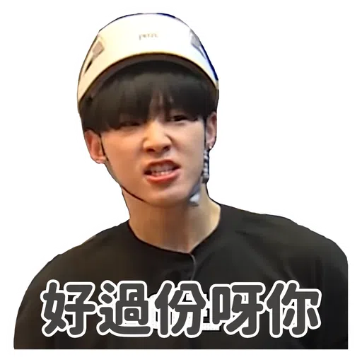 SVT INSIDE OUT - Sticker 26
