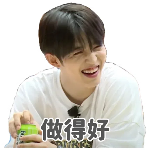 SVT INSIDE OUT - Sticker 17