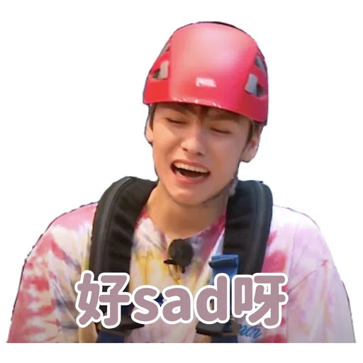 SVT INSIDE OUT - Sticker 22