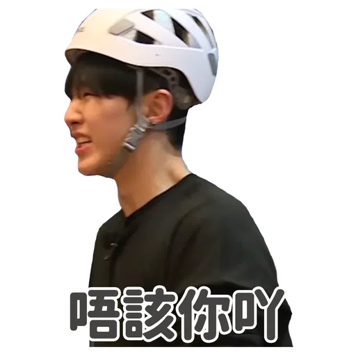 SVT INSIDE OUT - Sticker 12
