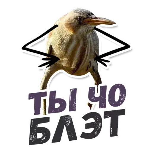 Blet - Sticker 14