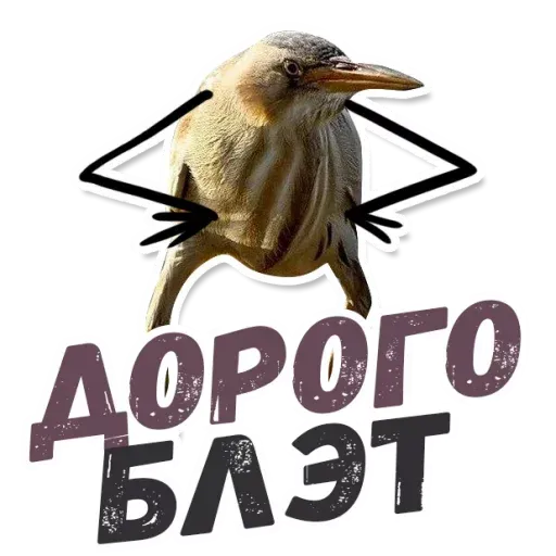 Blet - Sticker 19