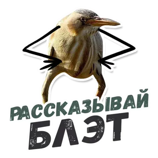 Blet - Sticker 16