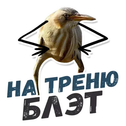 Blet - Sticker 11